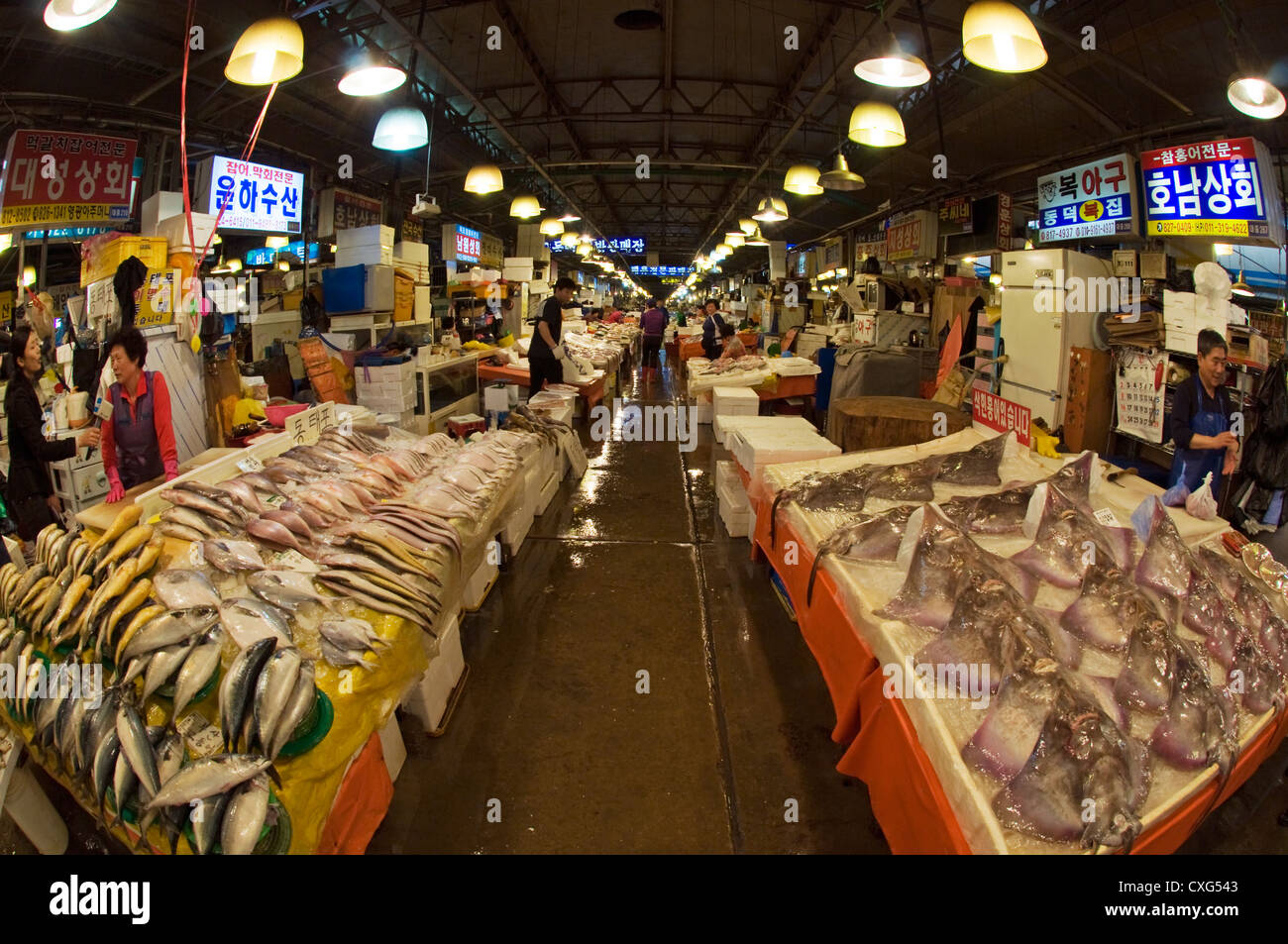 Le marché aux poissons de Noryangjin, plus grand marché de poisson de Séoul, Séoul, Corée. Banque D'Images