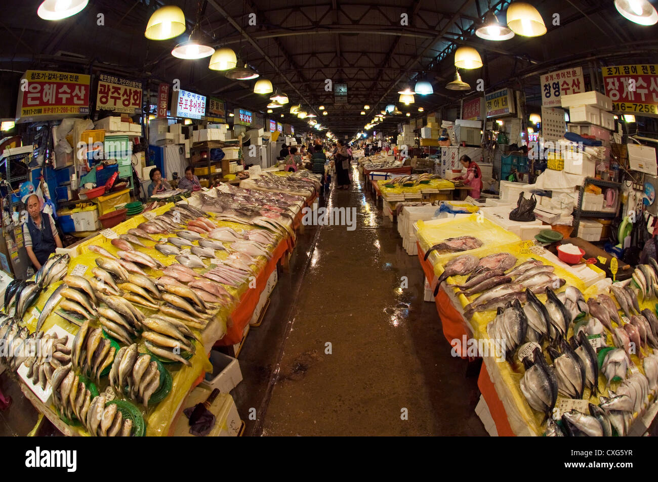 Le marché aux poissons de Noryangjin, plus grand marché de poisson de Séoul, Séoul, Corée. Banque D'Images