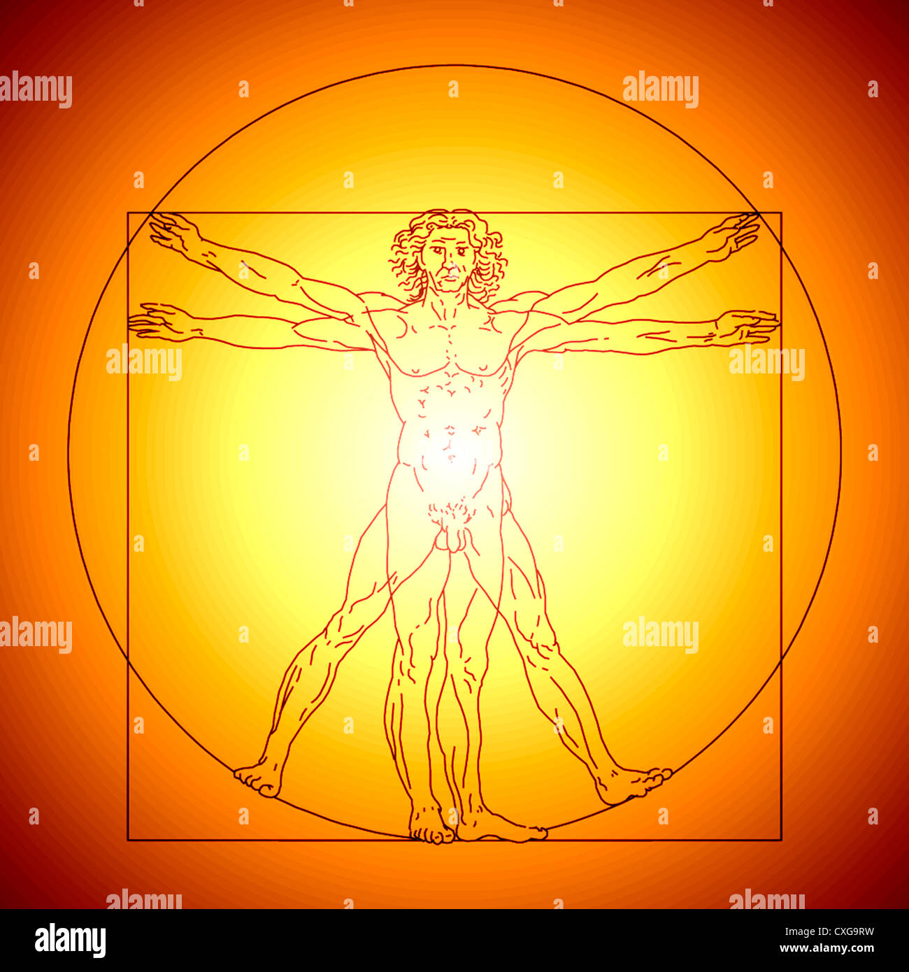 Homme de Vitruve croquis de Léonard de Vinci dans ton d'or Banque D'Images