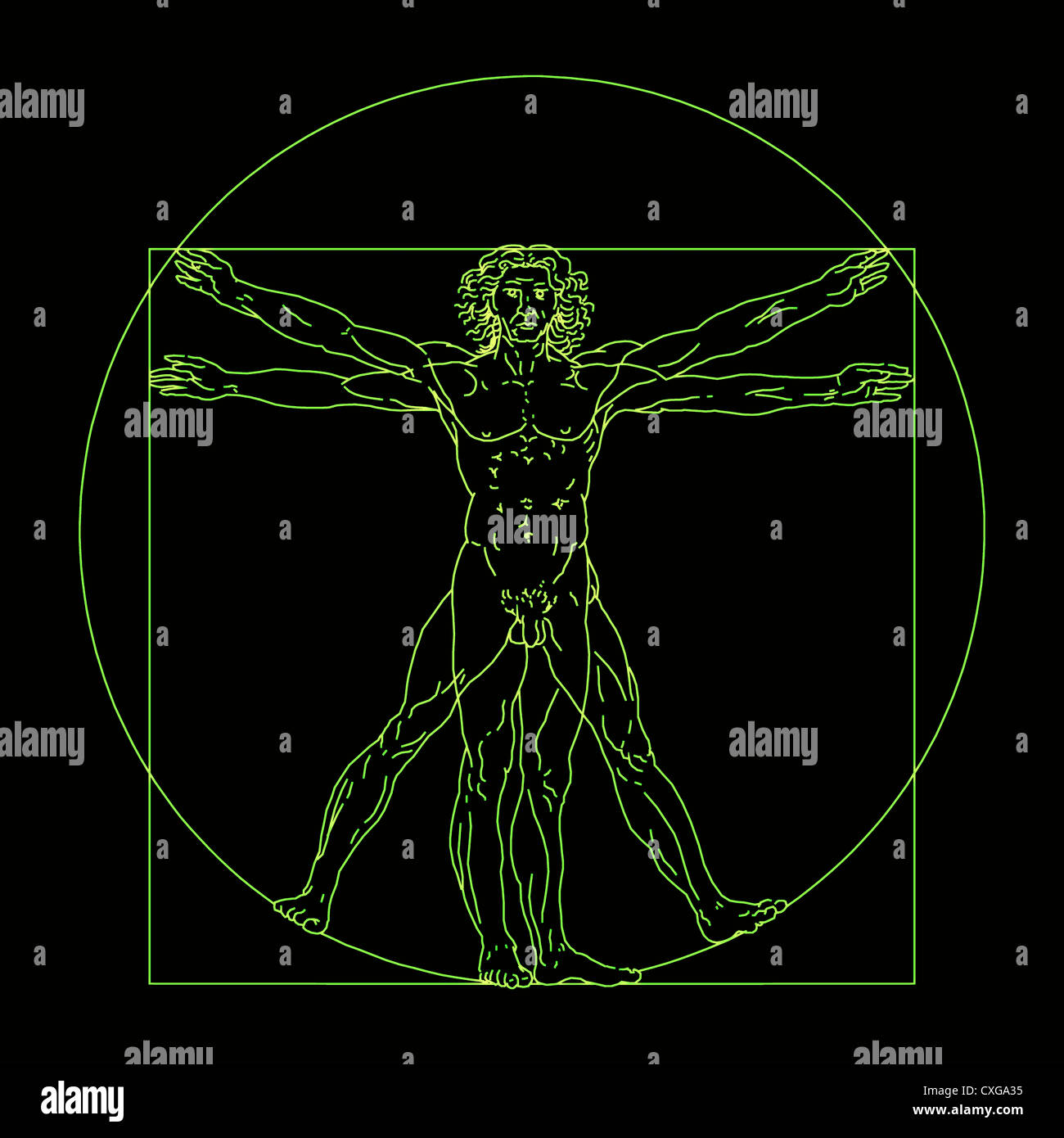 Homme de Vitruve par Leonardo da Vinci abstract Banque D'Images