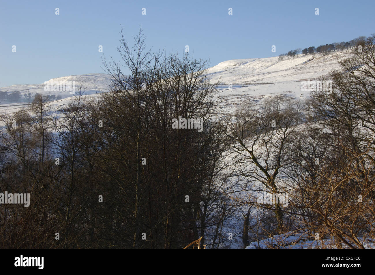 Scène de neige à Hamois Glen près de Glasgow, Écosse Banque D'Images