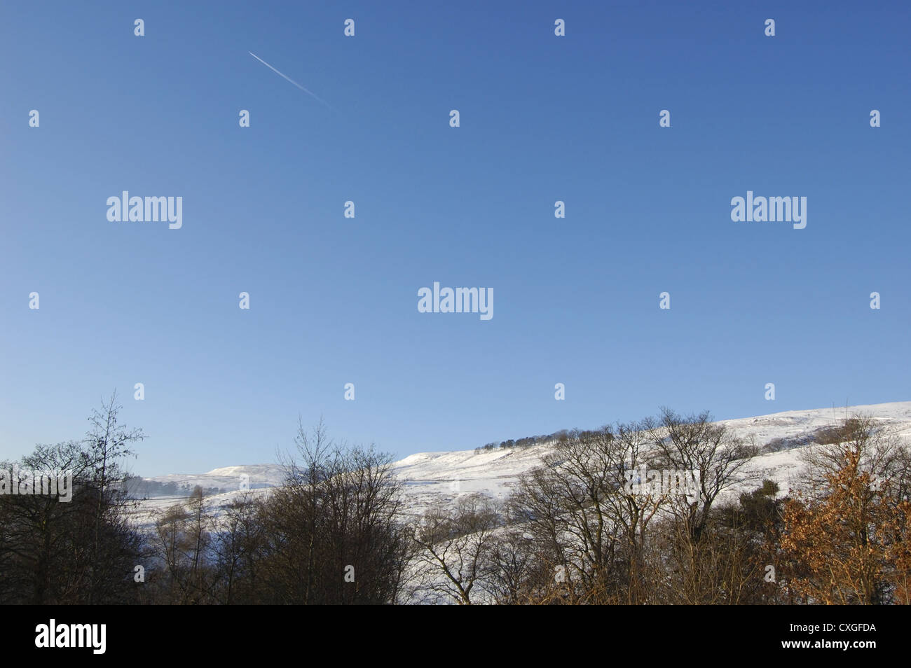 Scène de neige à Hamois Glen près de Glasgow, Écosse Banque D'Images