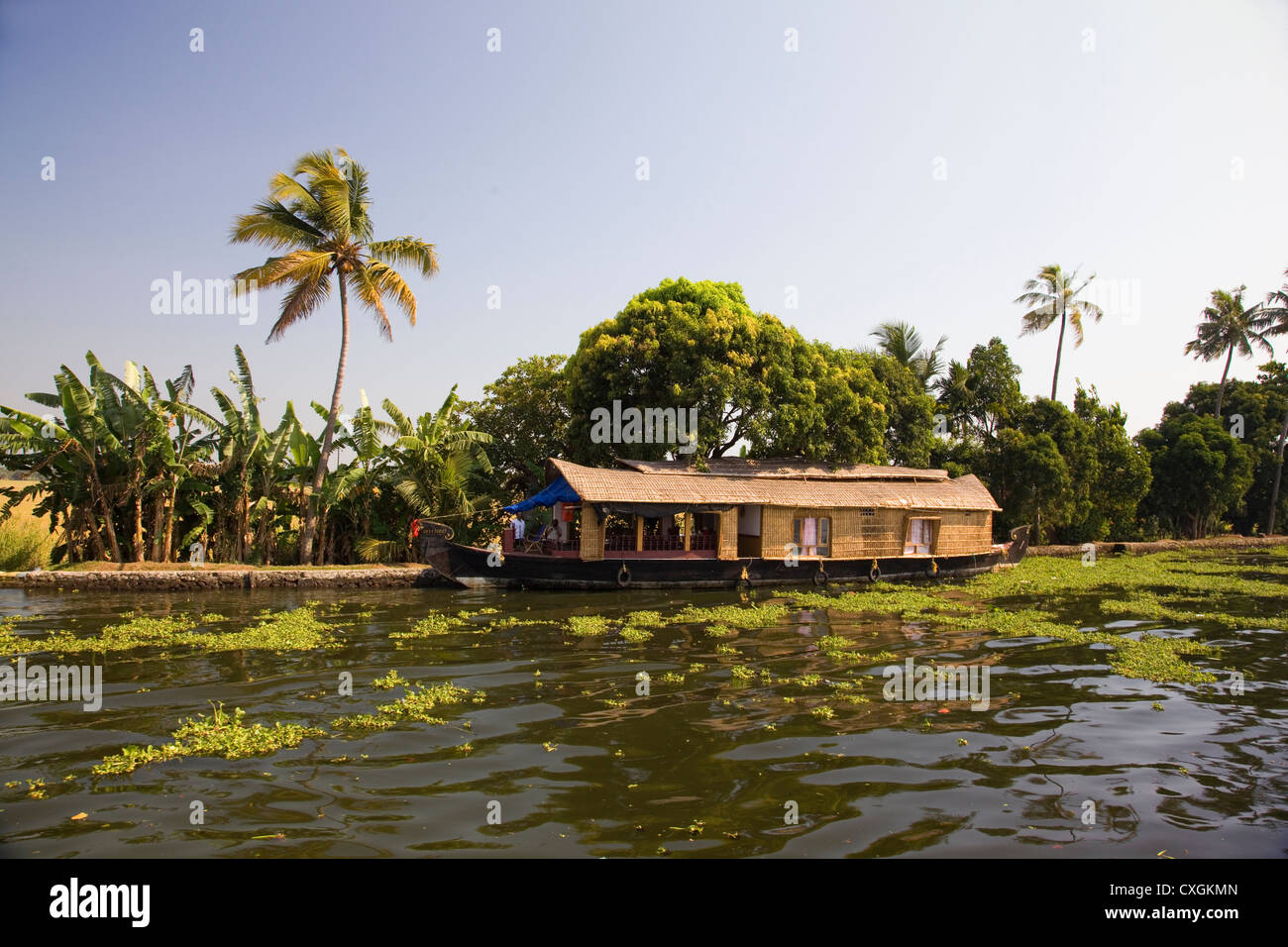 Maison traditionnelle bateau amarré le long des berges du canal dans les backwaters près de Alleppey, Kerala, Inde. Banque D'Images