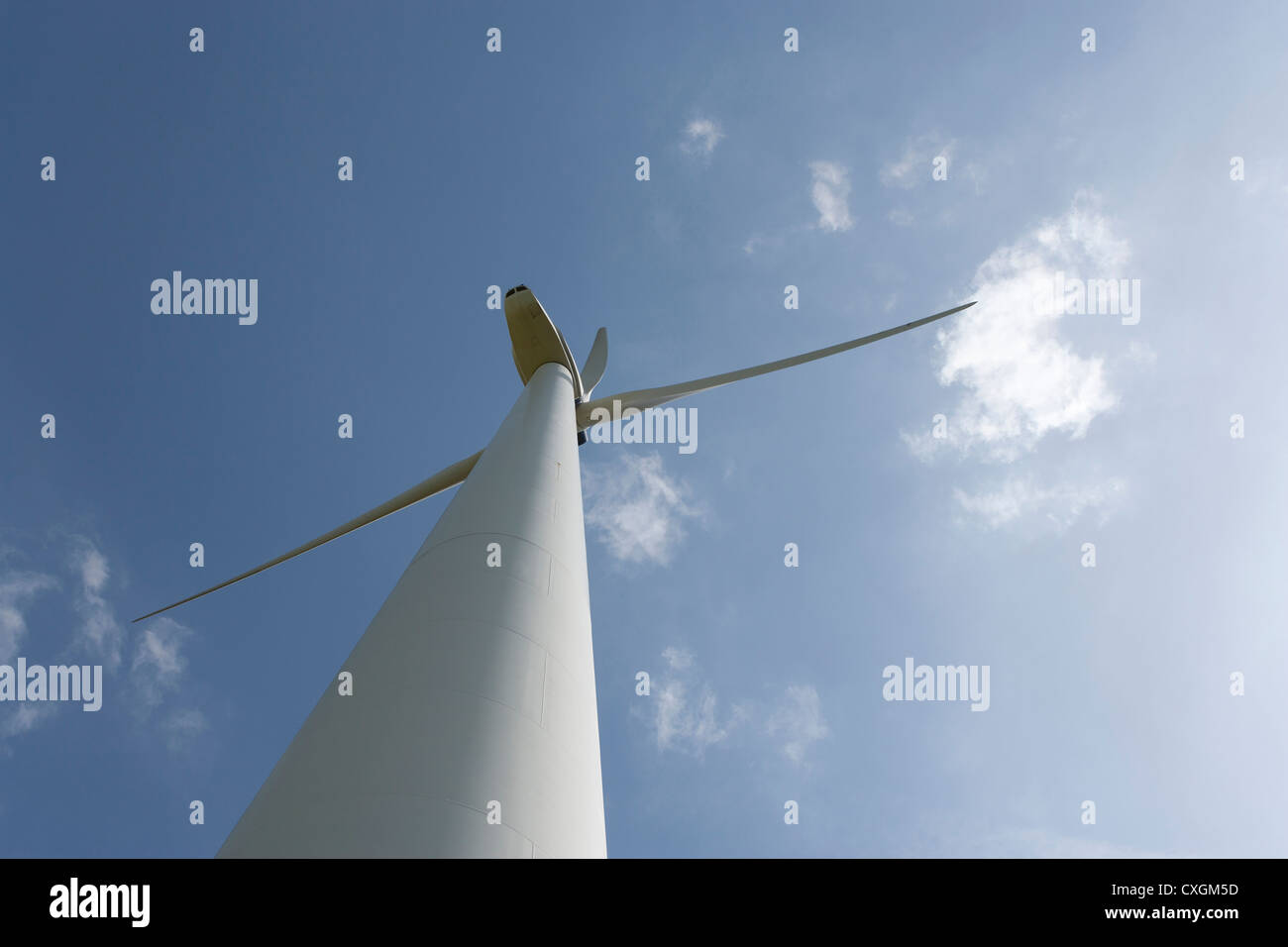 Éoliennes à uckermark oberbarnim, district, Brandenburg, Allemagne Banque D'Images