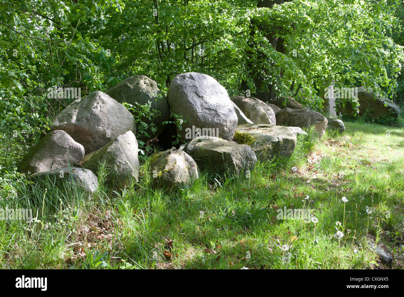 Des pierres sur herrenweg, Feldberg, feldberger seenlandschaft, plaque de lac mecklembourgeoise district, mecklenburg-vorpommern, Allemagne Banque D'Images