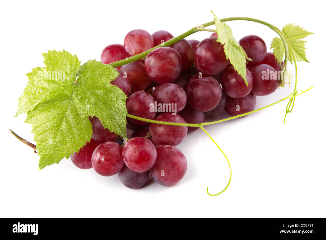 Les raisins rouges avec des feuilles fraîches, isolé sur fond blanc Banque D'Images