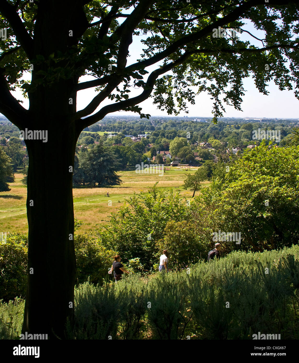 Vue panoramique Vista de grade 1 énumérés Richmond Park, au-delà de King Henry's mound Londres Angleterre Europe Banque D'Images