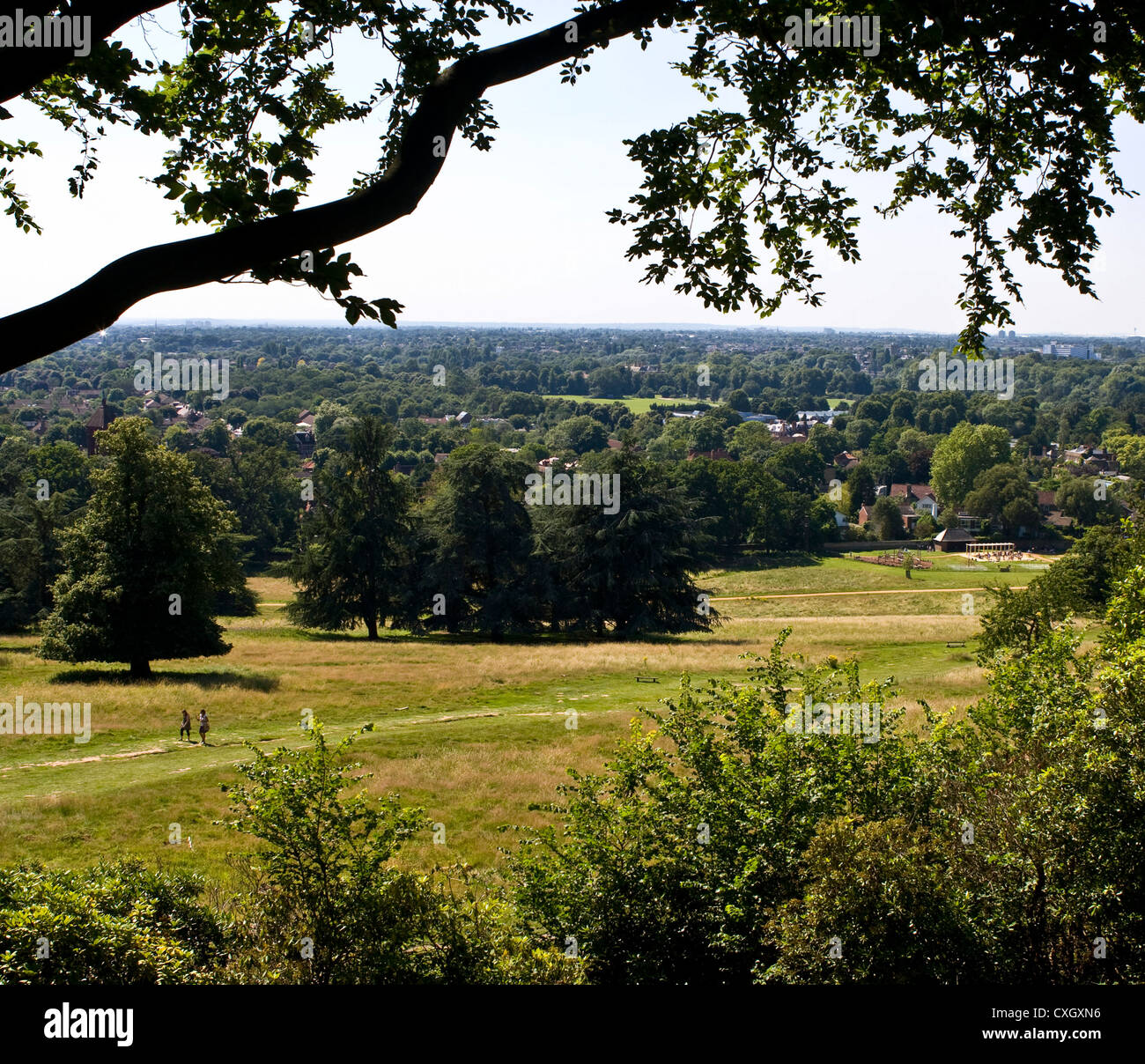 Vue panoramique Vista d'un niveau scolaire 1 Richmond Park et au-delà de King Henry's mound Londres Angleterre Europe Banque D'Images
