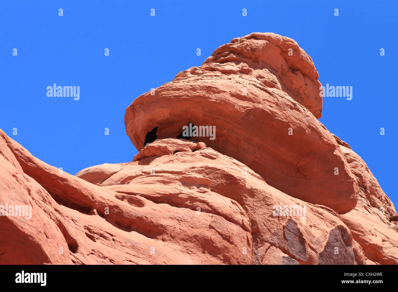 Delicate Arch dans Arches national park, Utah, États-Unis Banque D'Images