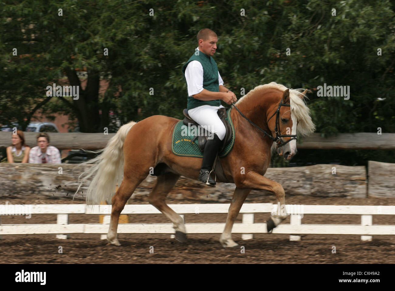 dressage Banque D'Images