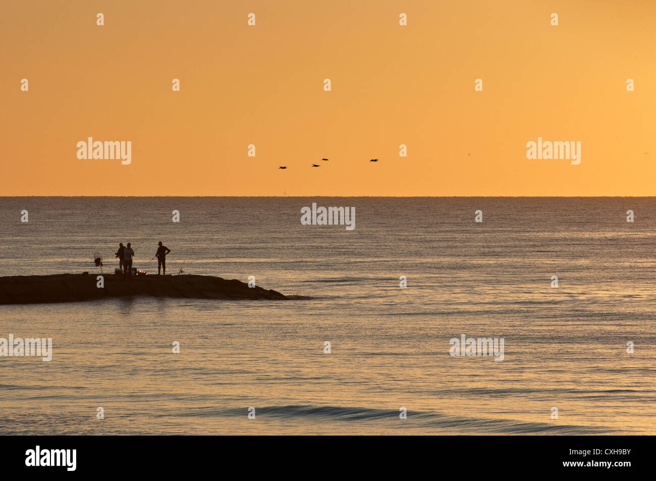 Les hommes à la pêche dans le golfe du Mexique à partir de l'eau de mer Boulevard Seawall pier avec des pélicans survolant, sunrise de Galveston, Texas, États-Unis Banque D'Images
