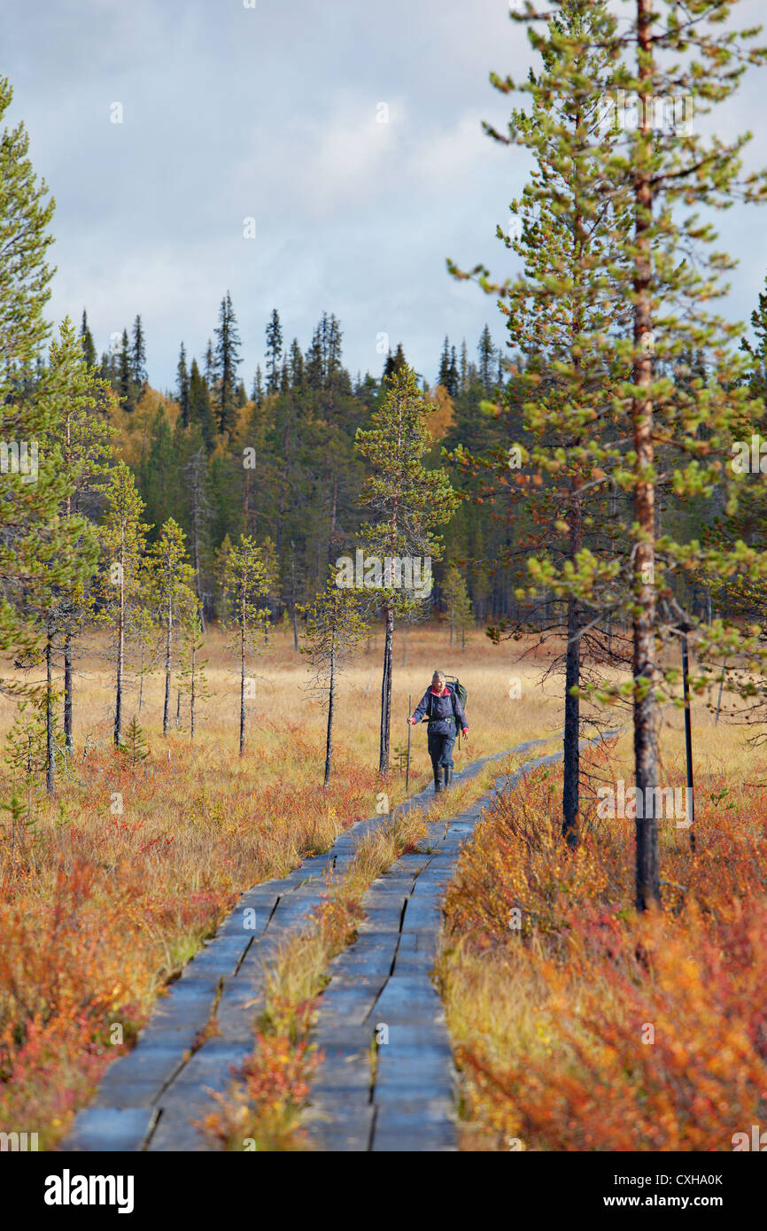 Chemin de randonnée en bois à travers un marais. Laponie, Finlande Banque D'Images
