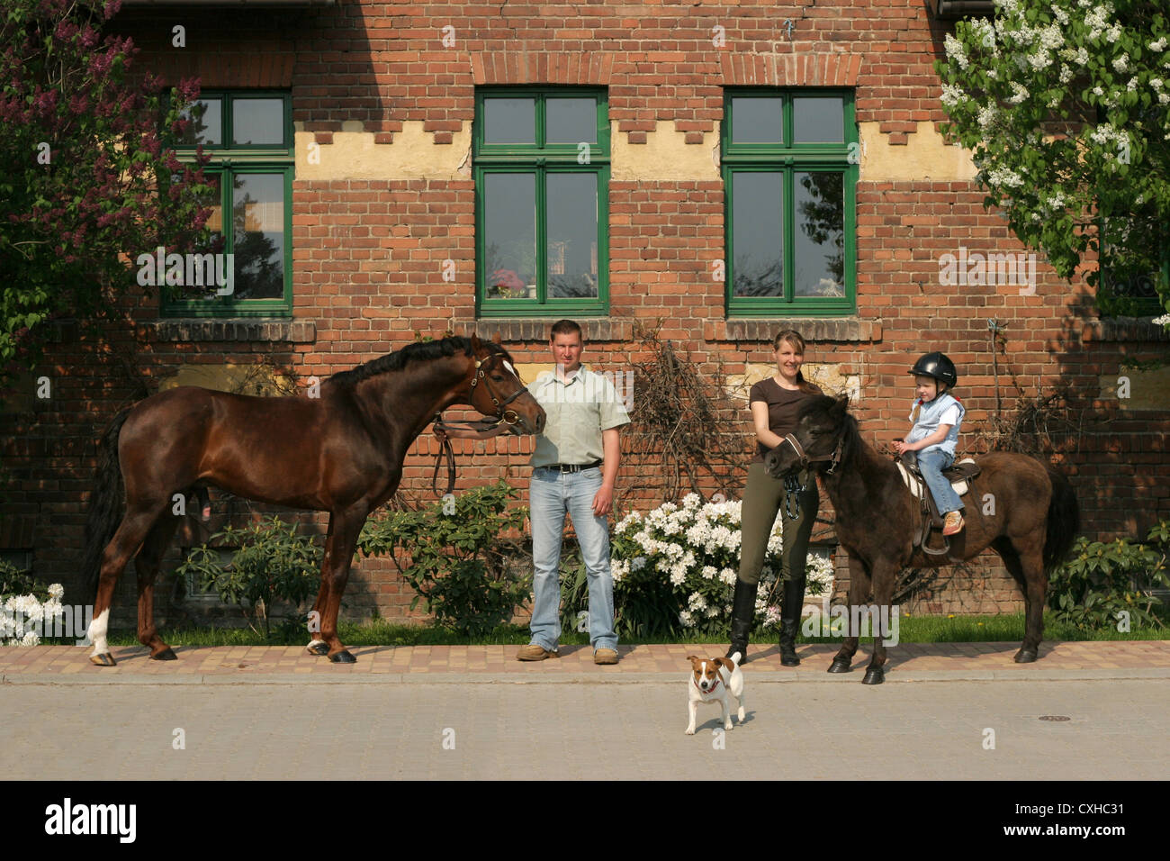 Famille avec cheval et chien Banque D'Images