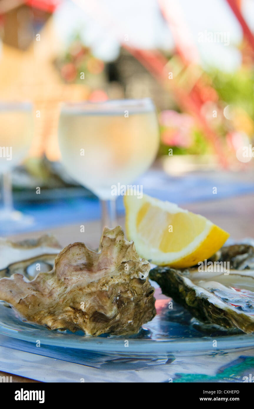 Des huîtres et un verre de vin Banque D'Images