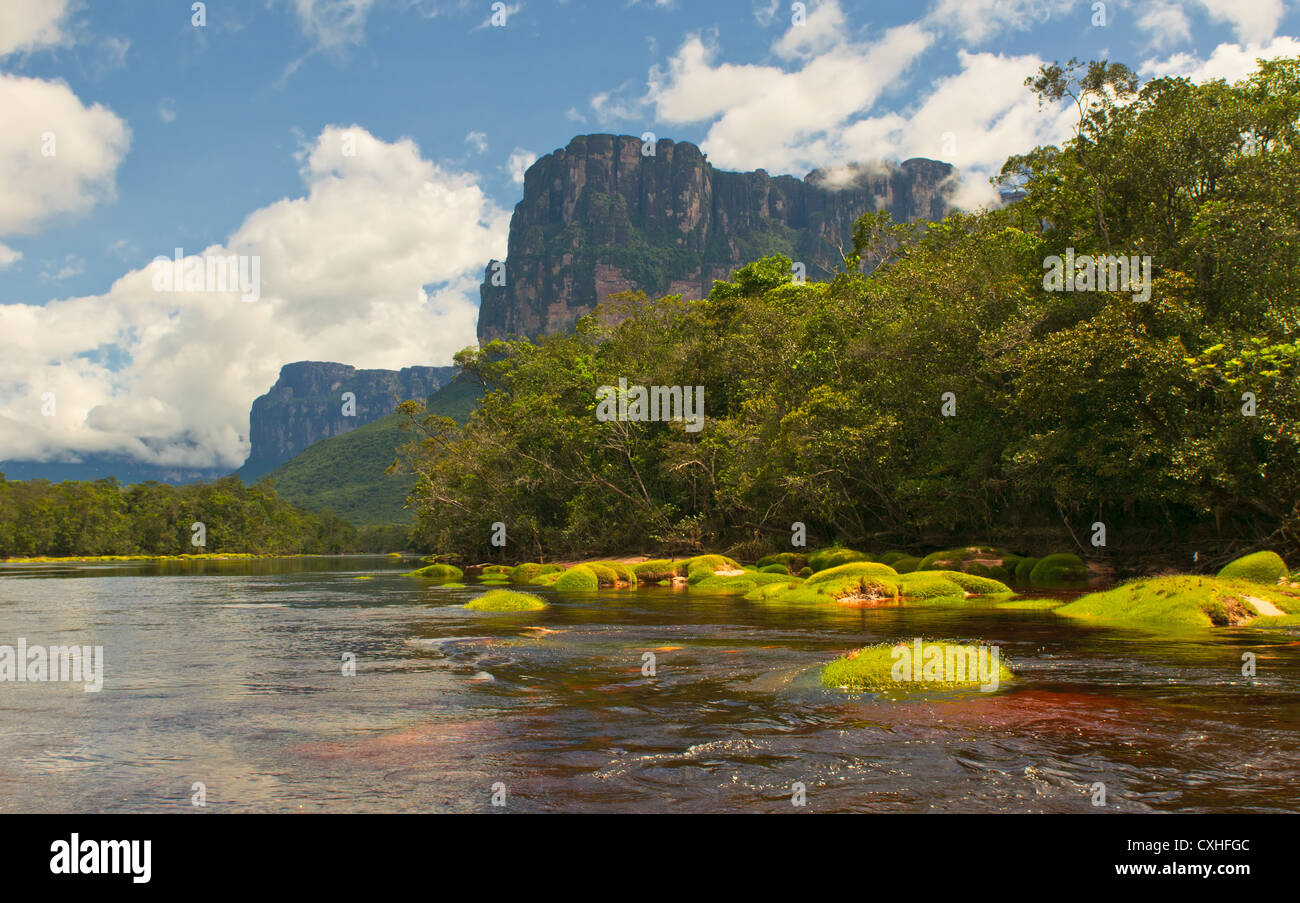 Parc national Canaima, Venezuela Banque D'Images