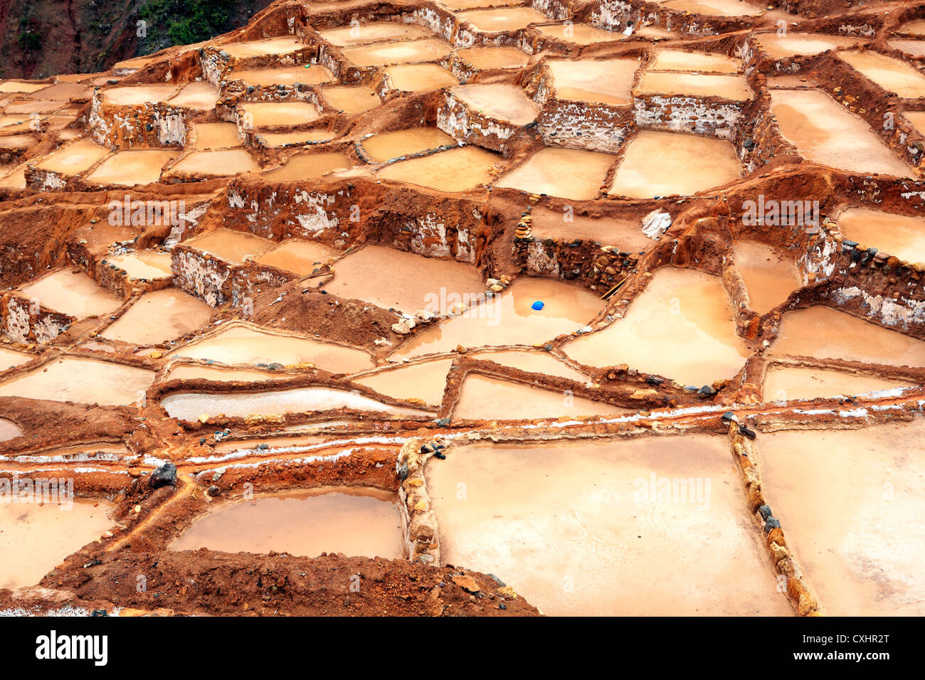 Salines de Salinas, près de l'Urubamba, vallée sacrée, Arequipa, Pérou Banque D'Images