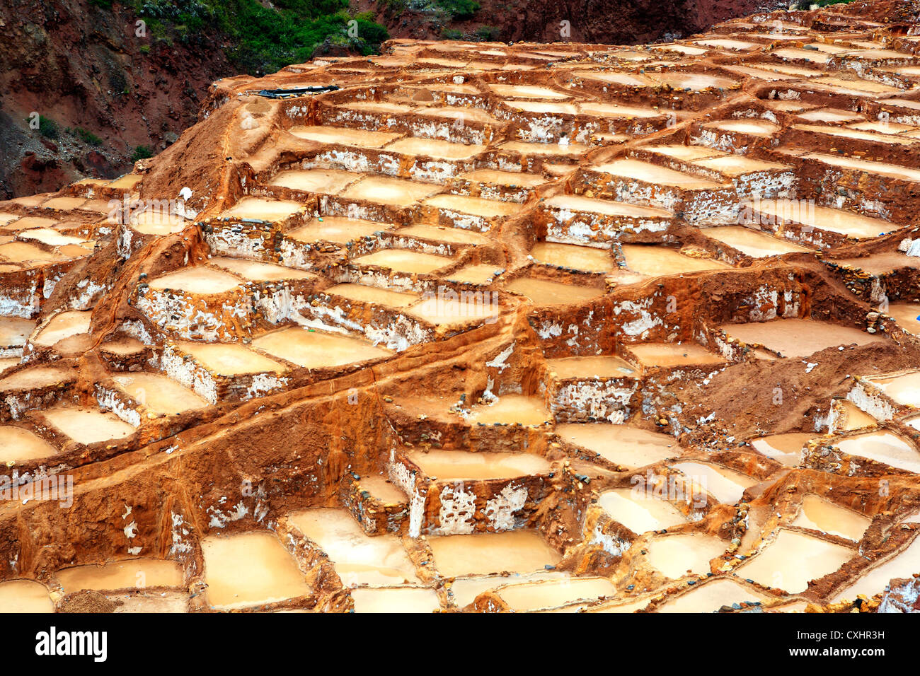 Salines de Salinas, près de l'Urubamba, vallée sacrée, Arequipa, Pérou Banque D'Images