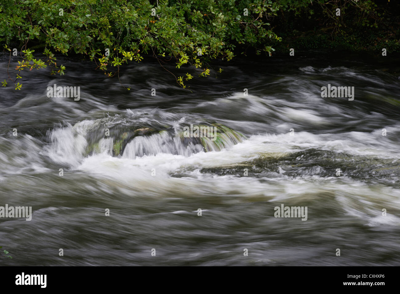 Rothay rivière en crue juste en dehors de Ambleside Cumbria au nord ouest de l'Angleterre Banque D'Images