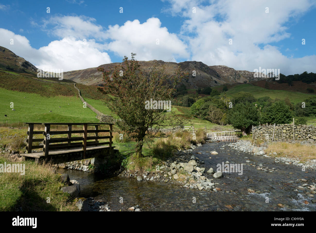 Petit pont de bois sur la langue Gill près de Rosthwaite Lake District en Cumbrie paysage North West England UK Banque D'Images