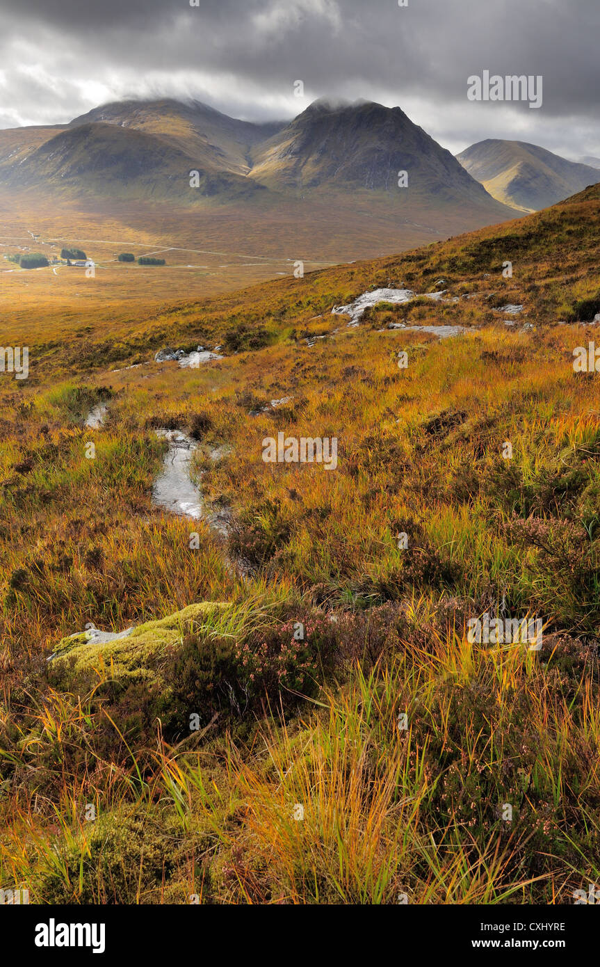 Vue vers Meall Bhuiridh Creise a' et des pistes de Beinn un Chrulaiste en automne, Glencoe, les Highlands écossais Banque D'Images