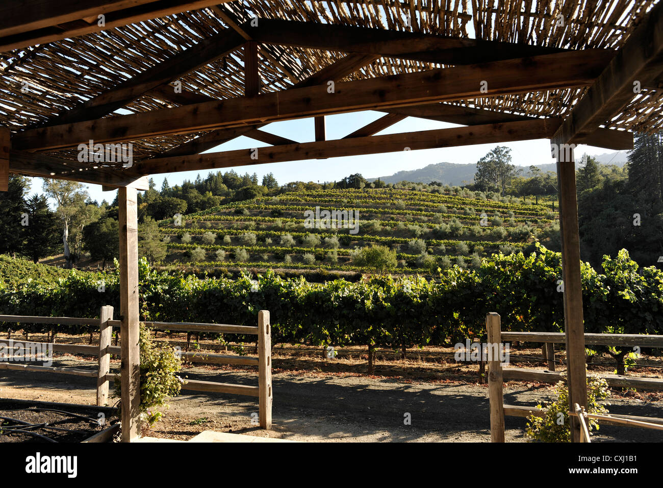 Benziger Family Winery, au-dessus de San Francisco Banque D'Images