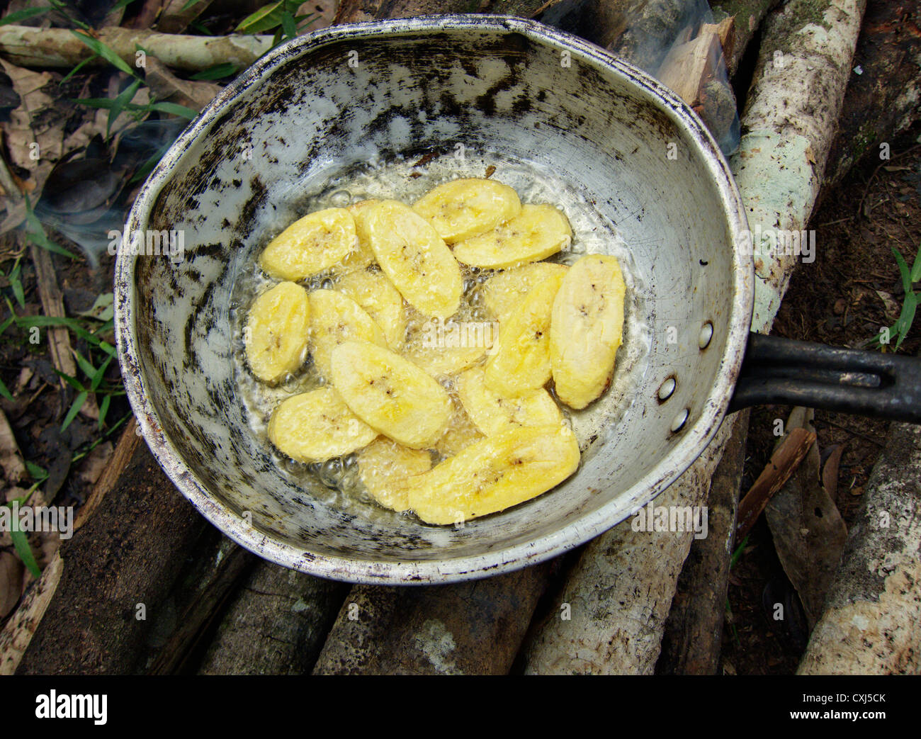 Bananes frites pour le déjeuner dans le Parc National de Pacaya-Samiria. Amazon, le Pérou. Banque D'Images