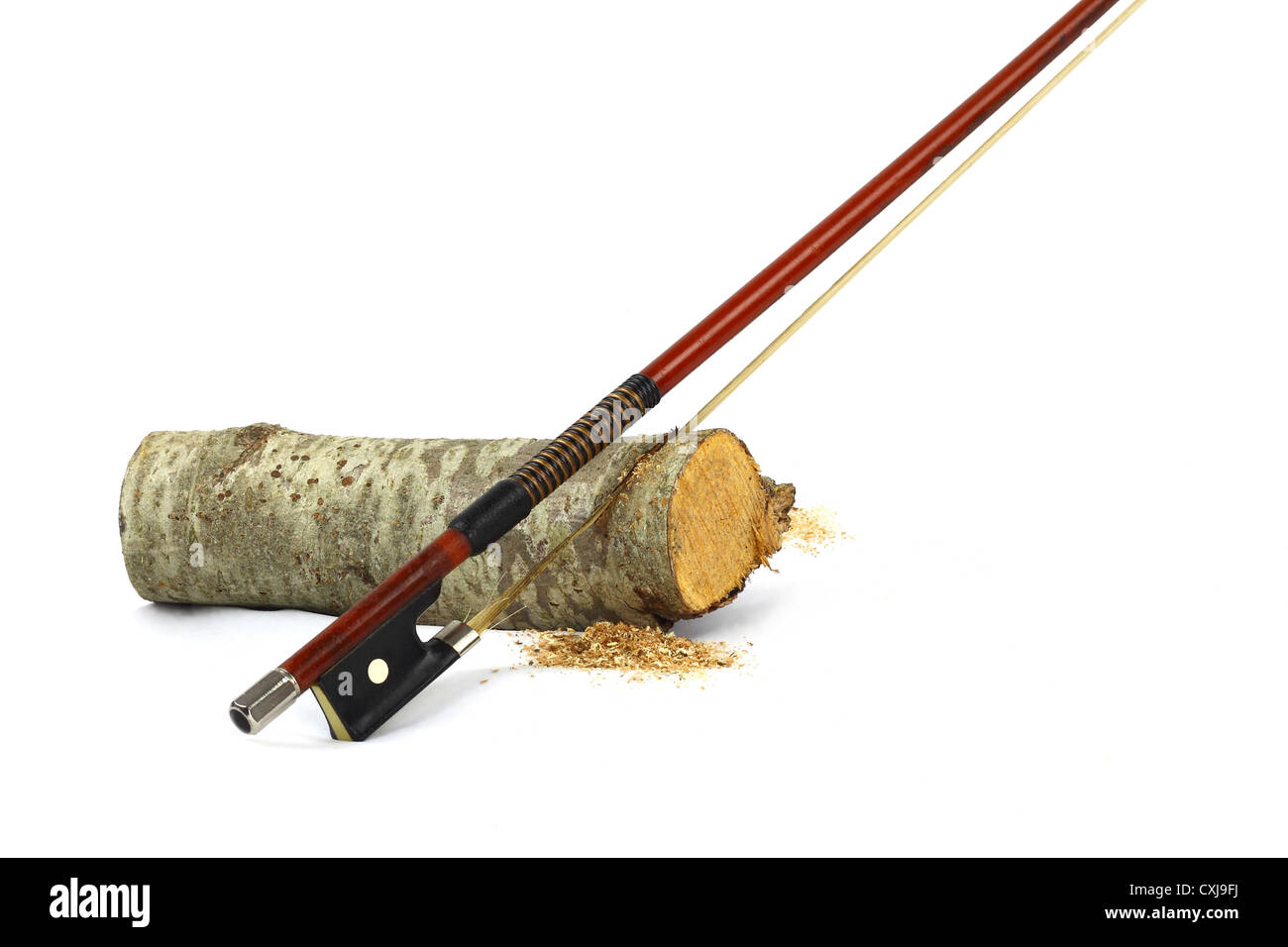 Allégorie de l'apprentissage à jouer des instruments de musique Banque D'Images