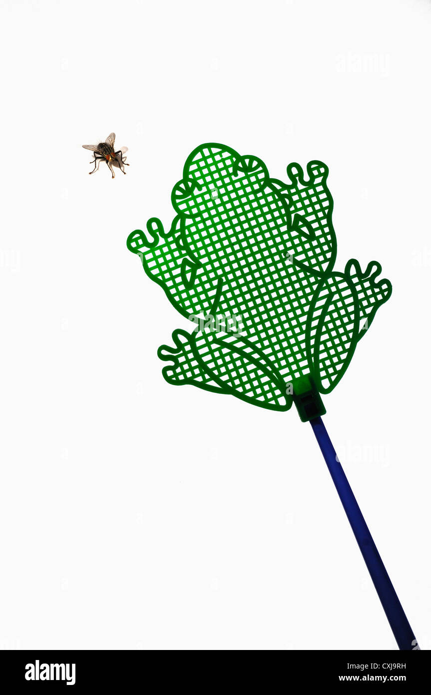 Tapette à mouche en forme de grenouille avec fly on white background, Close up Banque D'Images