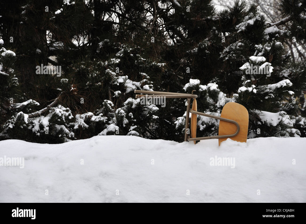 Allemagne, Bavière, tombé dans la neige avec chaise de bureau hedge Banque D'Images