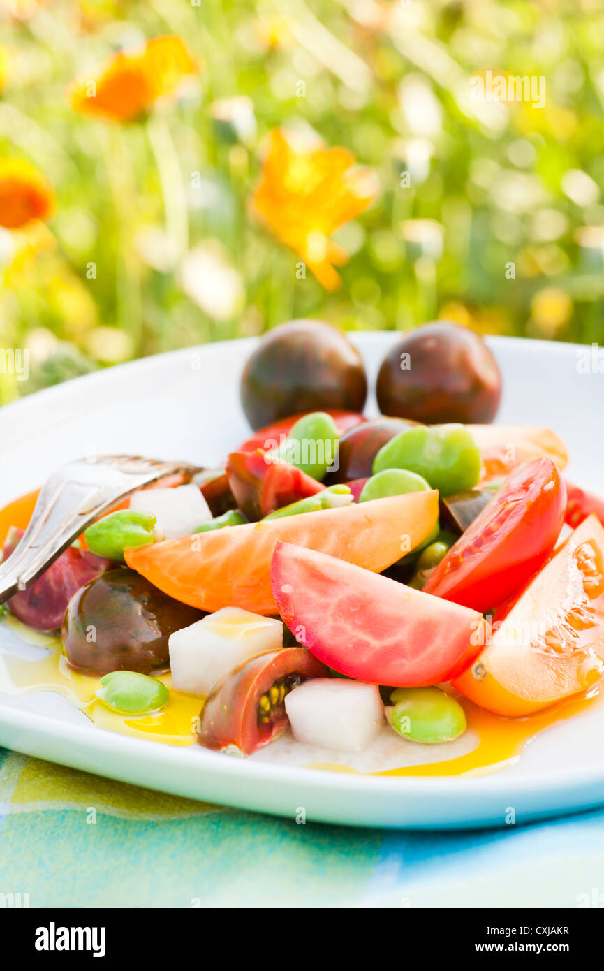 Salade de légumes rustiques avec les féveroles, les tomates et le chou-rave à l'huile d'olive vinaigrette Banque D'Images