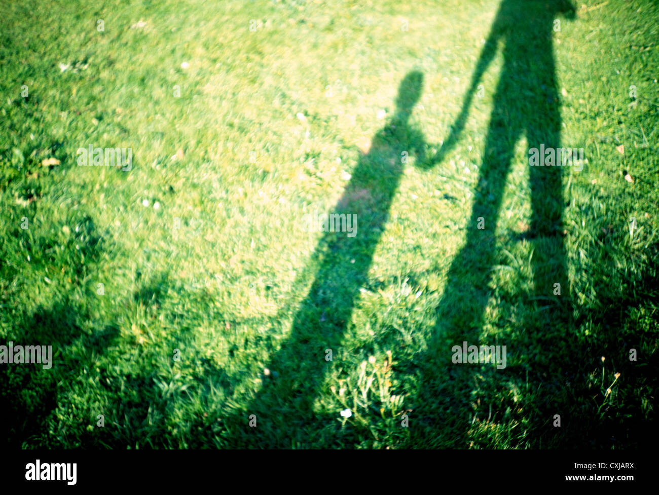 Père et fils se tenant la main Banque D'Images