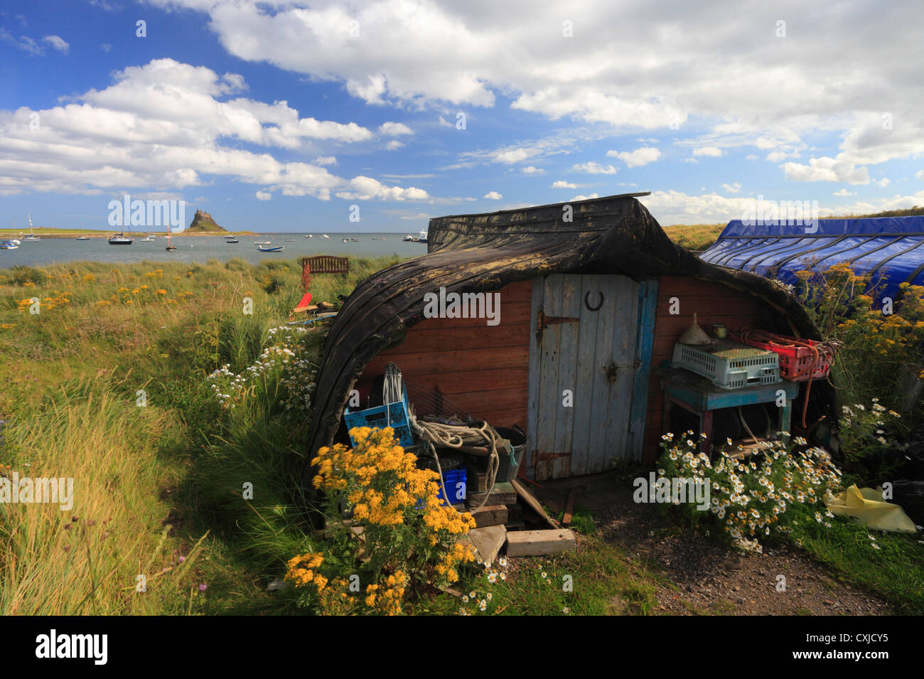 Bateaux renversés utilisés comme cabanes sur Lindisfarne, Holy Island, avec le château en arrière-plan. Banque D'Images