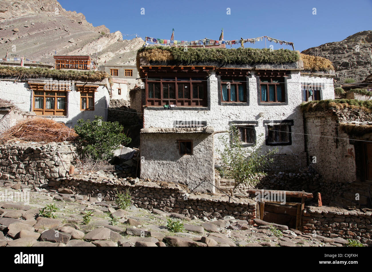 Hemis, le Jammu-et-Cachemire, l'Inde Banque D'Images