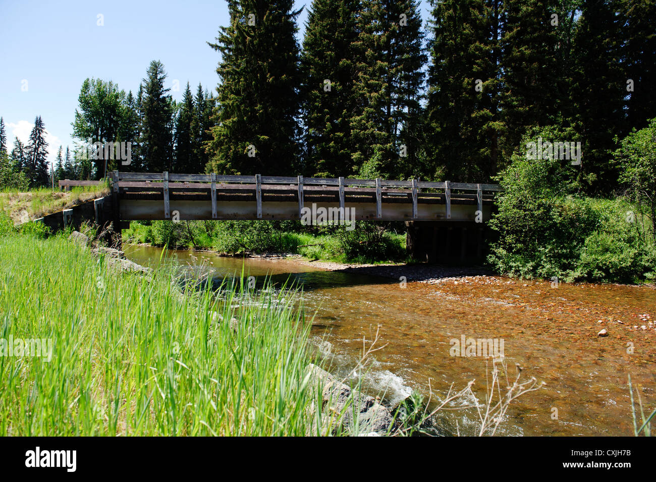 Monture Creek au Montana Banque D'Images