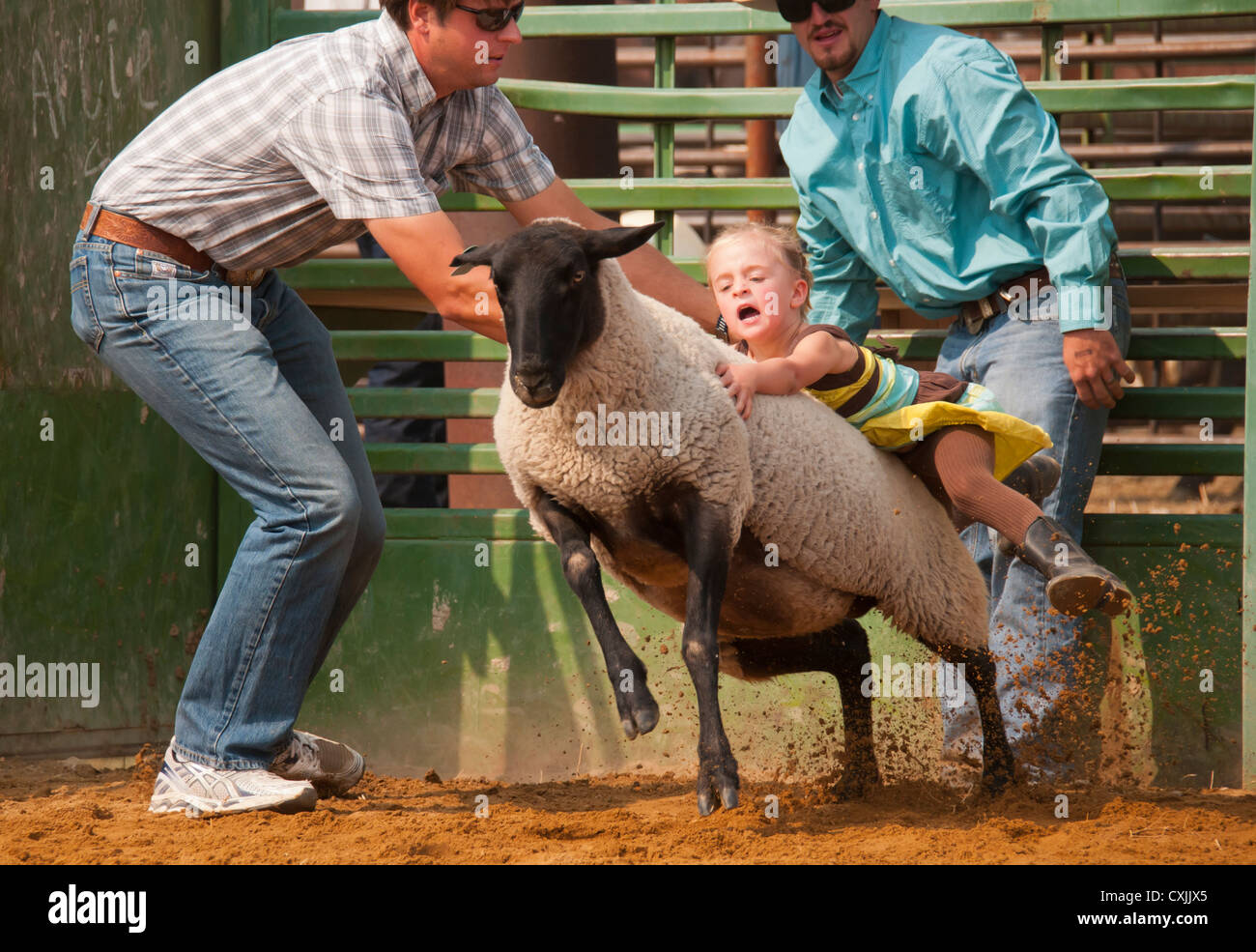 Les jeunes moutons en équitation cowgirl Mutton Busting cas rodeo, Bruneau, California, USA Banque D'Images