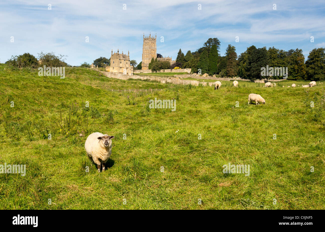 St James Church vu à travers prairie avec moutons en vieille ville de Cotswold de Chipping Campden Banque D'Images