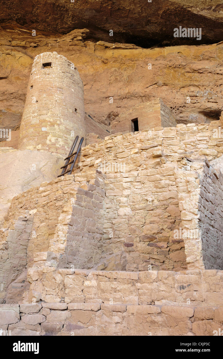 Cliff Palace, Mesa Verde National Park, Colorado USA Banque D'Images Cliff Palace, Mesa Verde National Park, Colorado USA Banque D'Images