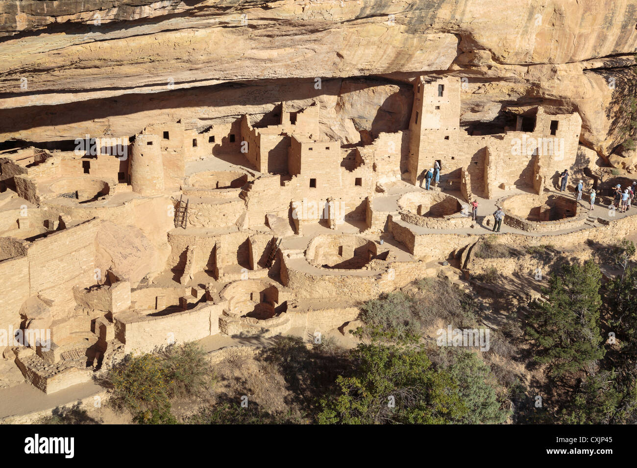 Cliff Palace, Mesa Verde National Park, Colorado USA Banque D'Images Cliff Palace, Mesa Verde National Park, Colorado USA Banque D'Images