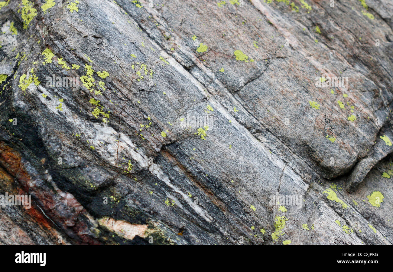 Lichens sur roche Banque D'Images