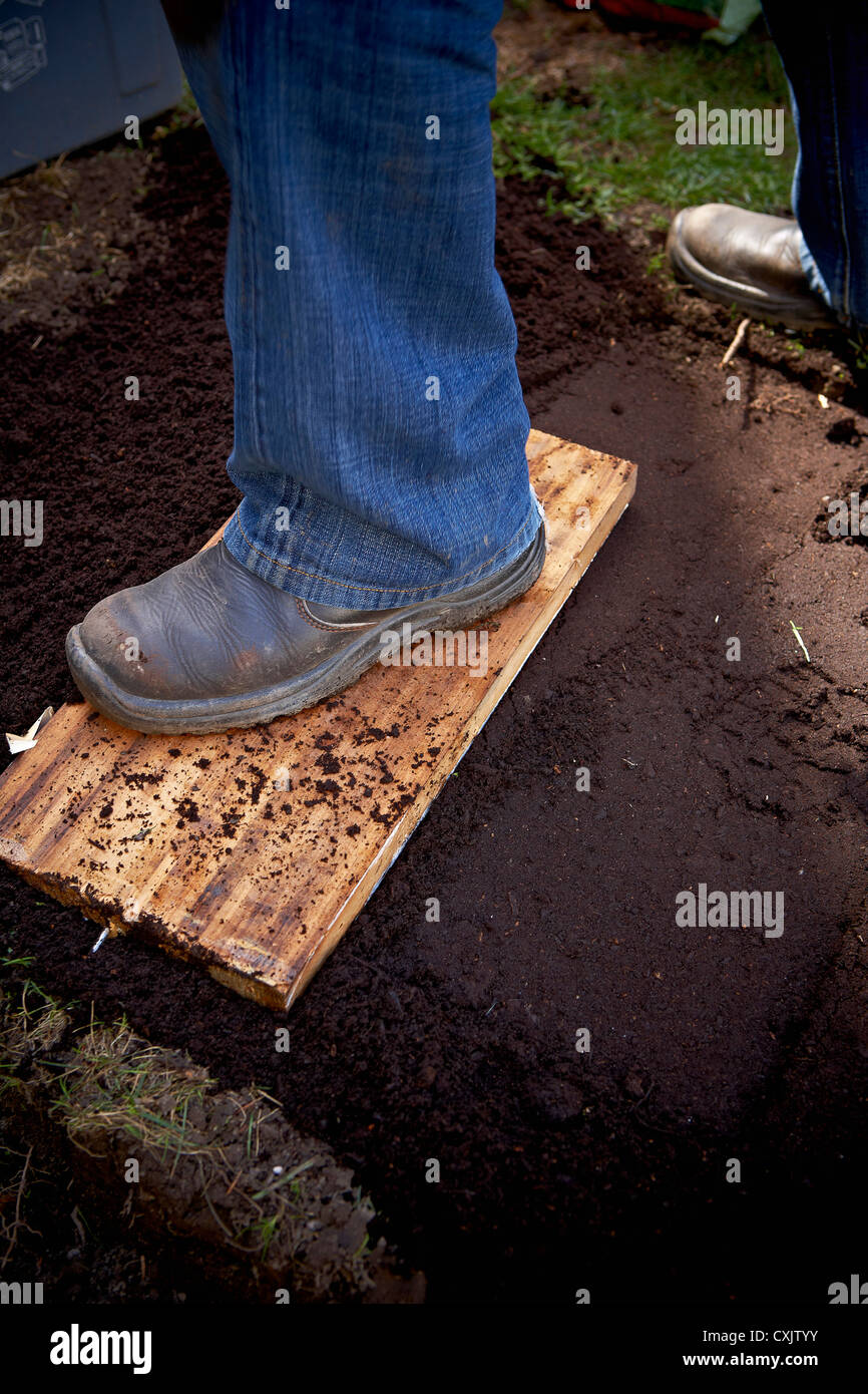 Tasser le sol jardinier avec la planche en bois, Toronto, Ontario, Canada  Photo Stock - Alamy