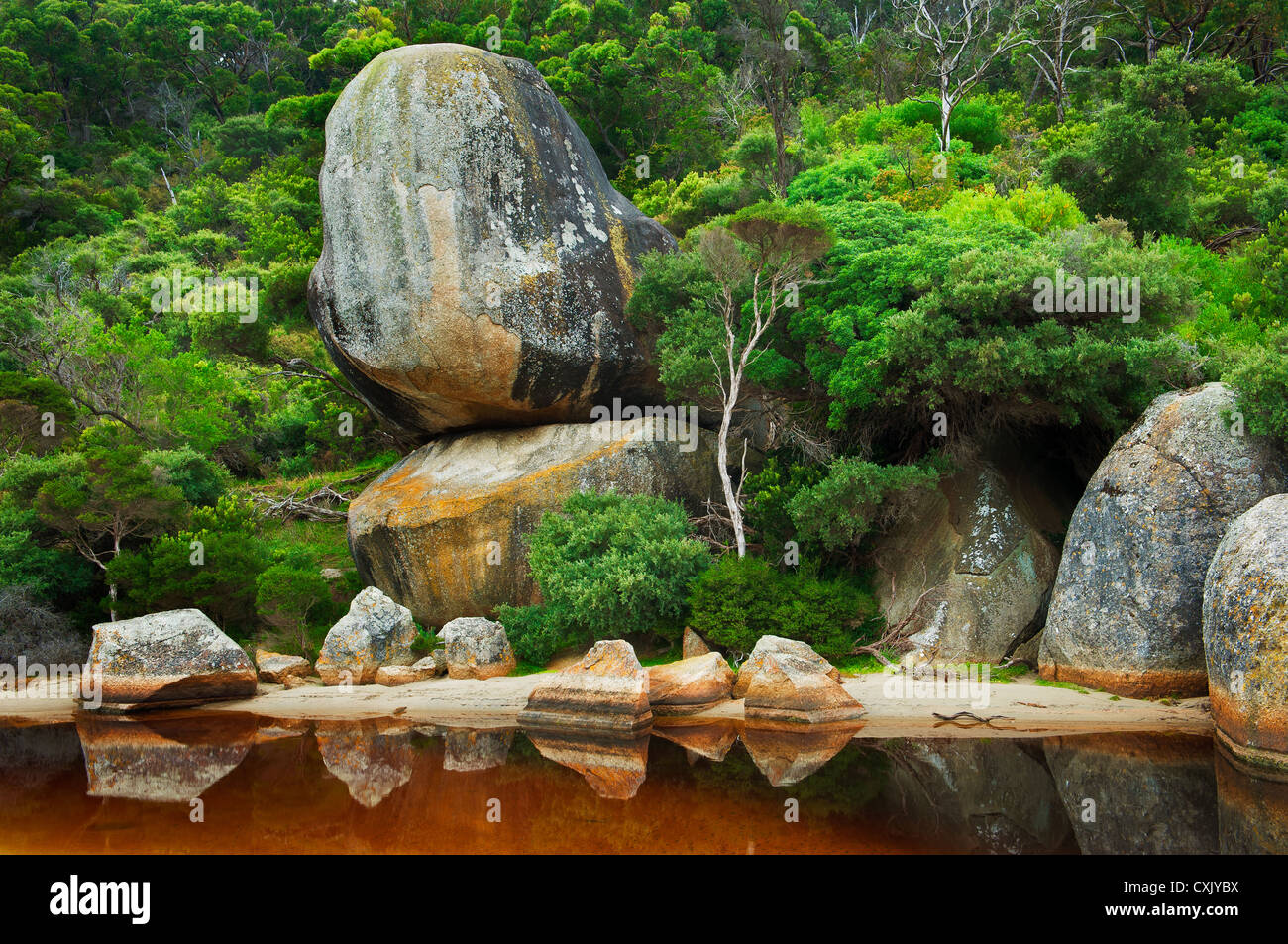 Whale Rock dominant la rivière Tidal dans le parc national de Wilsons Promontory. Banque D'Images