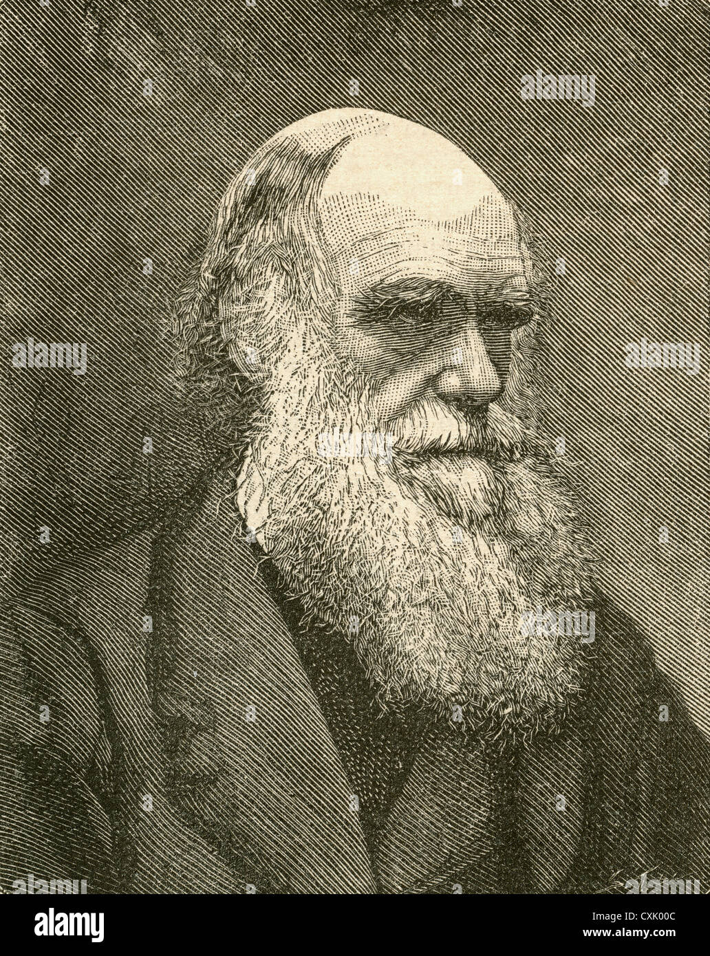 Charles Robert Darwin, 1809 - 1882. L'écrivain et naturaliste anglais. À partir de El Museo populaires de Madrid, 1887 publié Banque D'Images