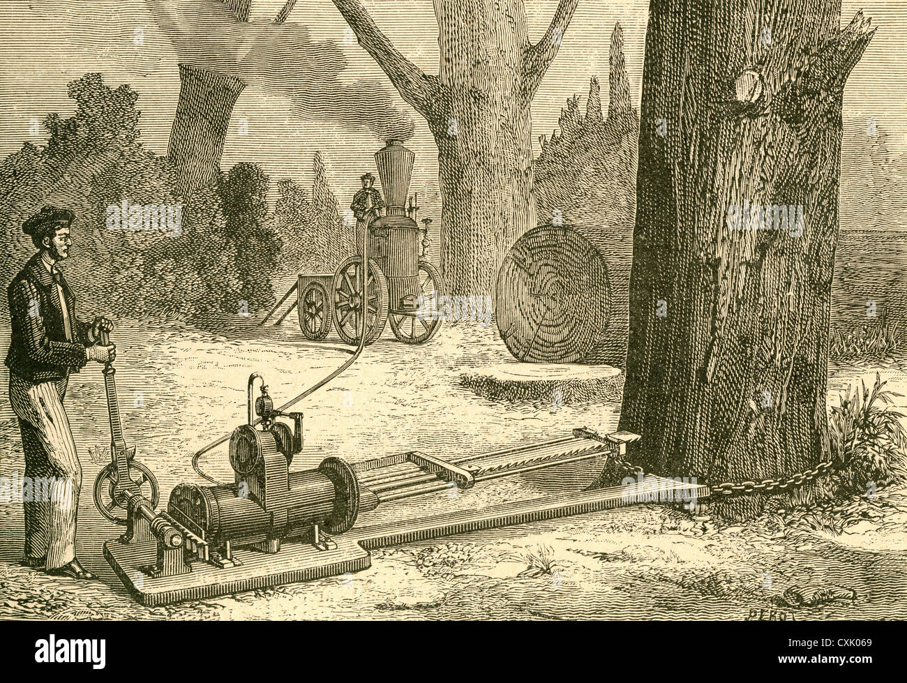 La coupe des arbres à l'aide de machines à vapeur à la fin du xixe siècle. À partir de El Museo populaires de Madrid, 1887 publié Banque D'Images La coupe des arbres à l'aide de machines à vapeur à la fin du xixe siècle. À partir de El Museo populaires de Madrid, 1887 publié Banque D'Images