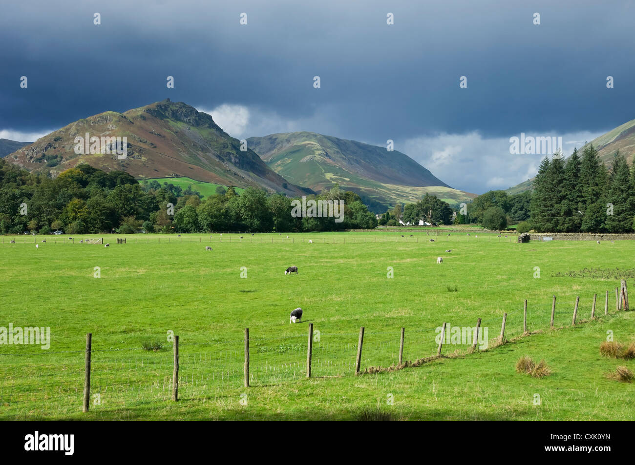 Vue en regardant à travers les champs vers Helm Crag en dessous du gris orageux Ciel en été près de Grasmere Cumbria Angleterre Royaume-Uni GB Grande-Bretagne Banque D'Images