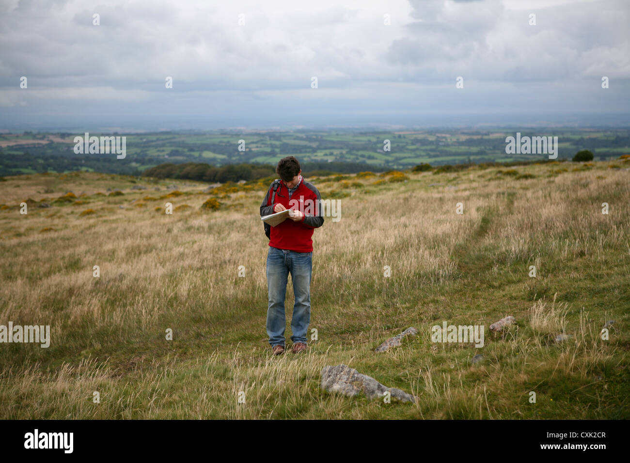 Lecture de carte de l'homme dans un champ, Dartmoor National Park, Royaume-Uni Banque D'Images