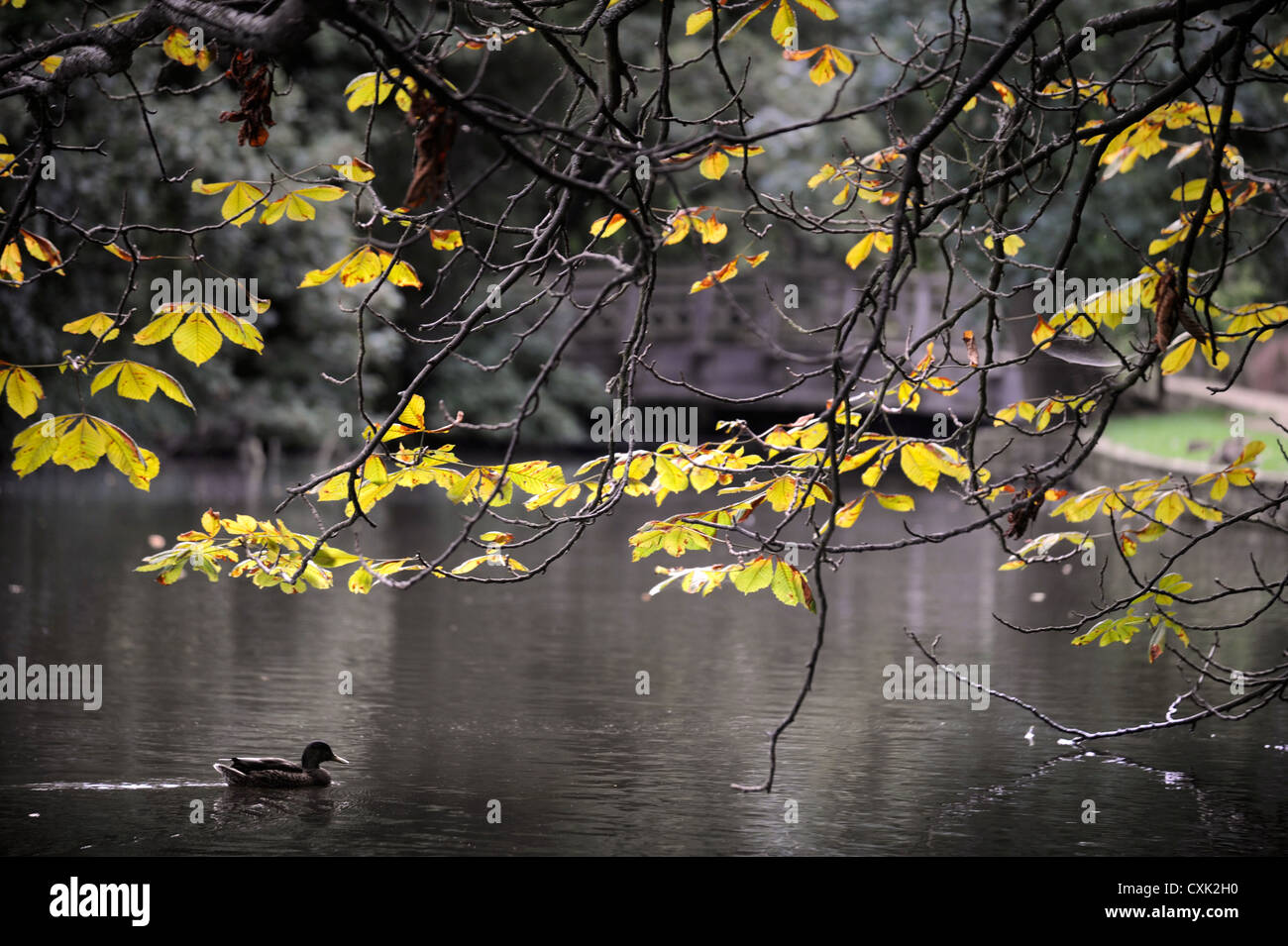 Le style 'Monet' bridge au Worcester College d'Oxford Banque D'Images