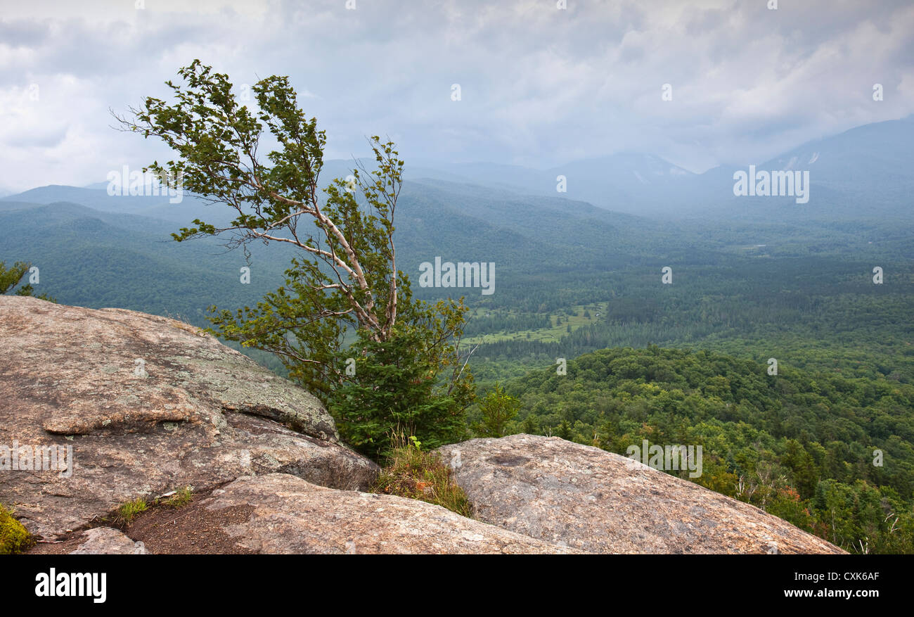 Vue du Mt. Von Hoevenberg, Adirondacks, New York Banque D'Images