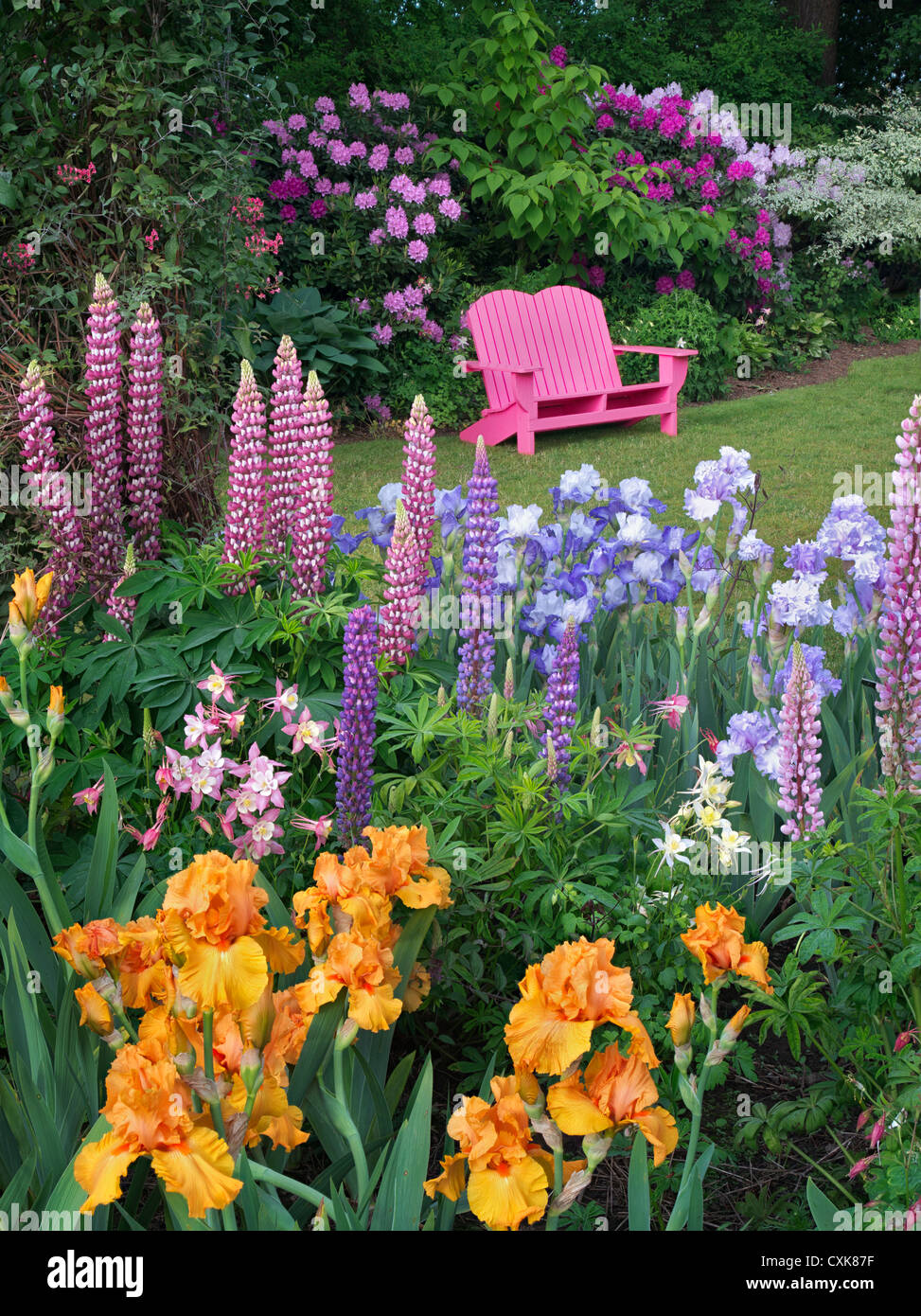 Chaise de jardin et jardin fleuri. Schrieners Iris Gardens, Salem, Oregon. Banque D'Images