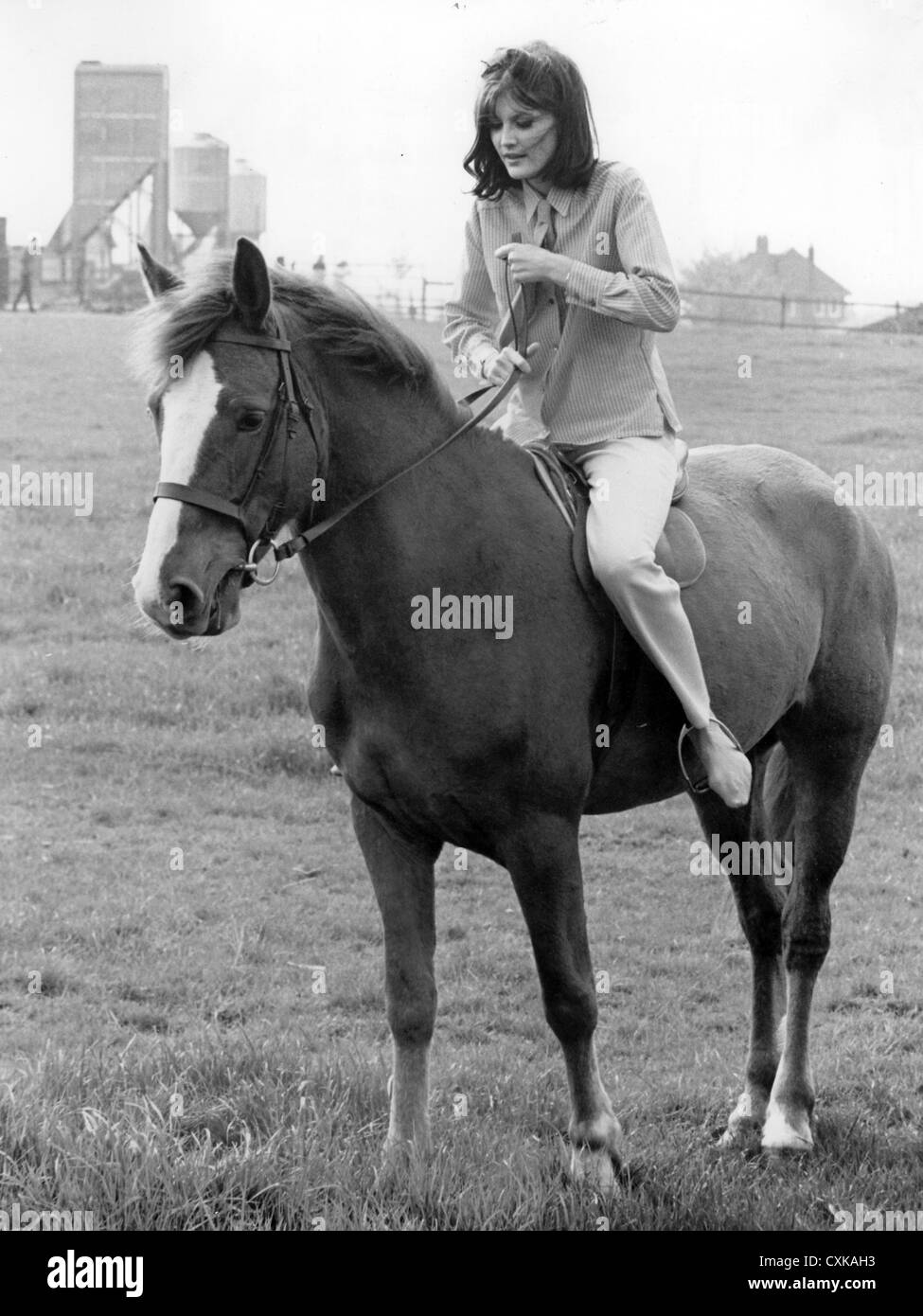 SANDIE SHAW la chanteuse pop britannique à un Birmingham riding school en avril 1967. Photo Tony Gale Banque D'Images