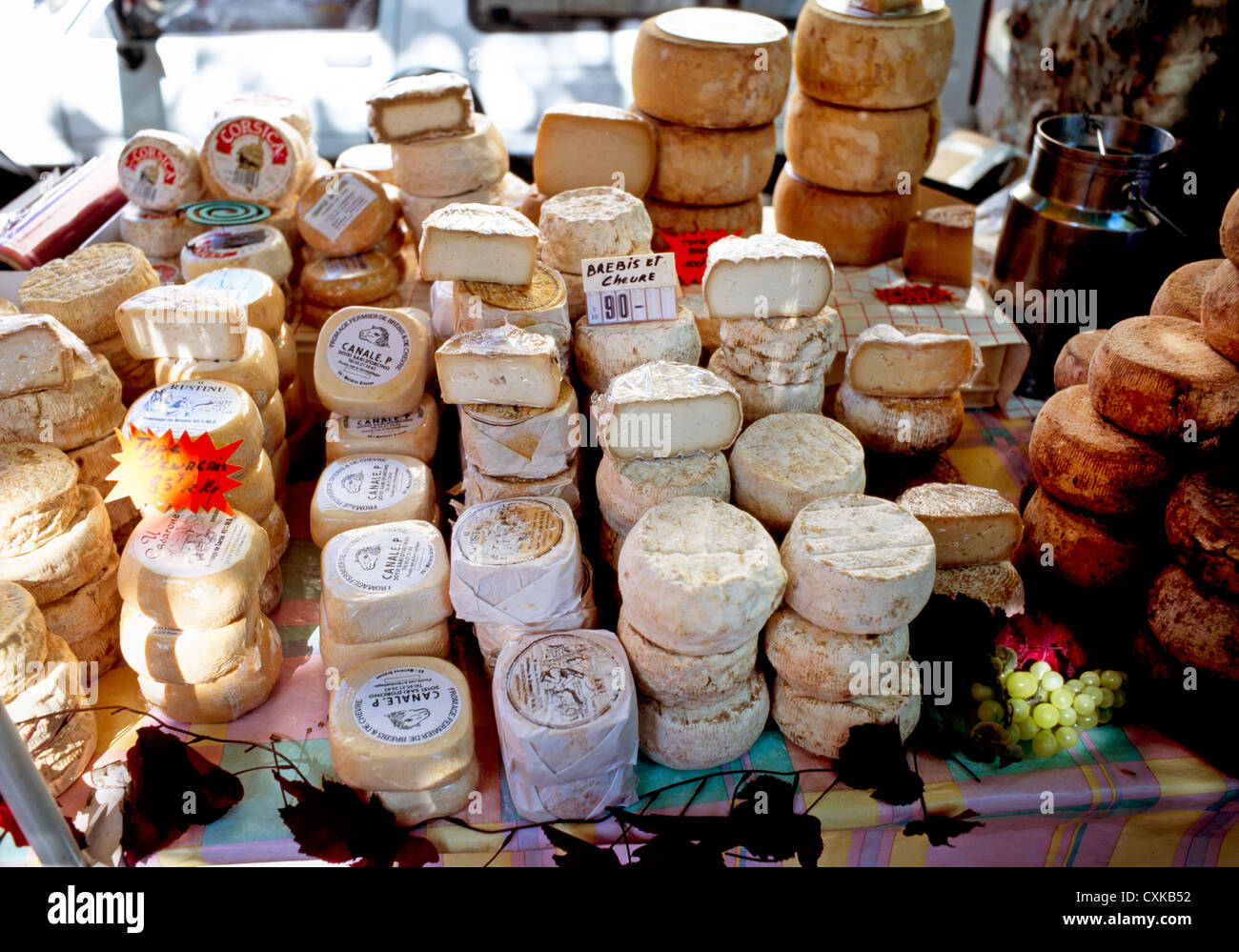 Blocage de fromage,marché,CORSE Ajaccio Banque D'Images